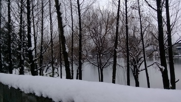 2月18日貴陽下大雪了