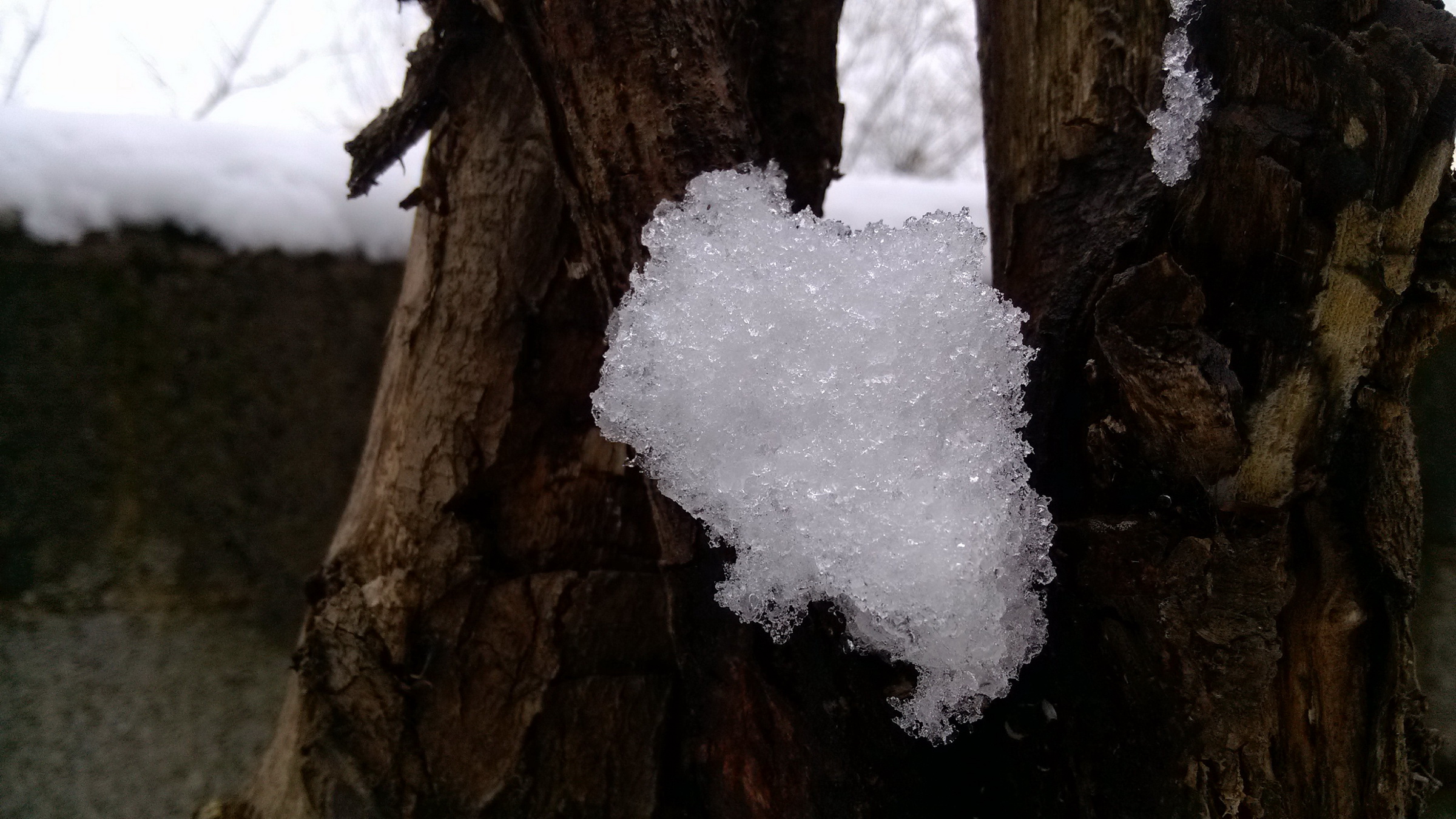 2月18日貴陽下大雪了