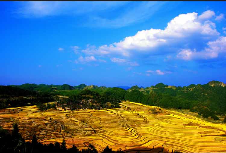 丹寨高要梯田